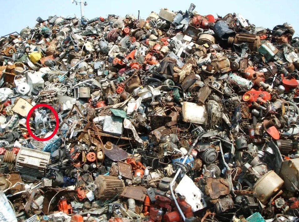 Οπτική ψευδαίσθηση