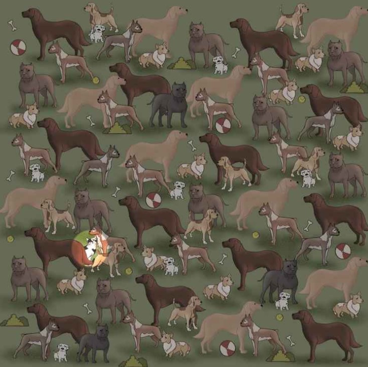 Οπτική ψευδαίσθηση