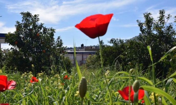 Πάσχα- καιρός