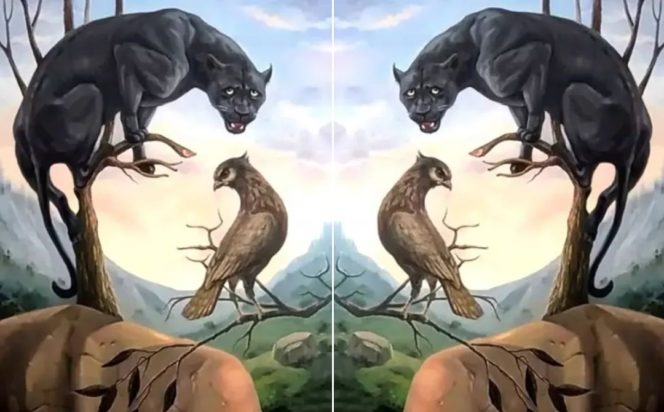 Τεστ προσωπικότητας οπτική ψευδαίσθηση