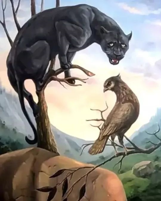 Τεστ προσωπικότητας οπτική ψευδαίσθηση