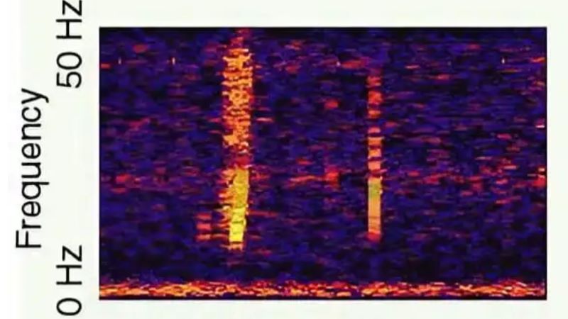 Ανάλυση του ήχου Bloop με φασματογράφημα