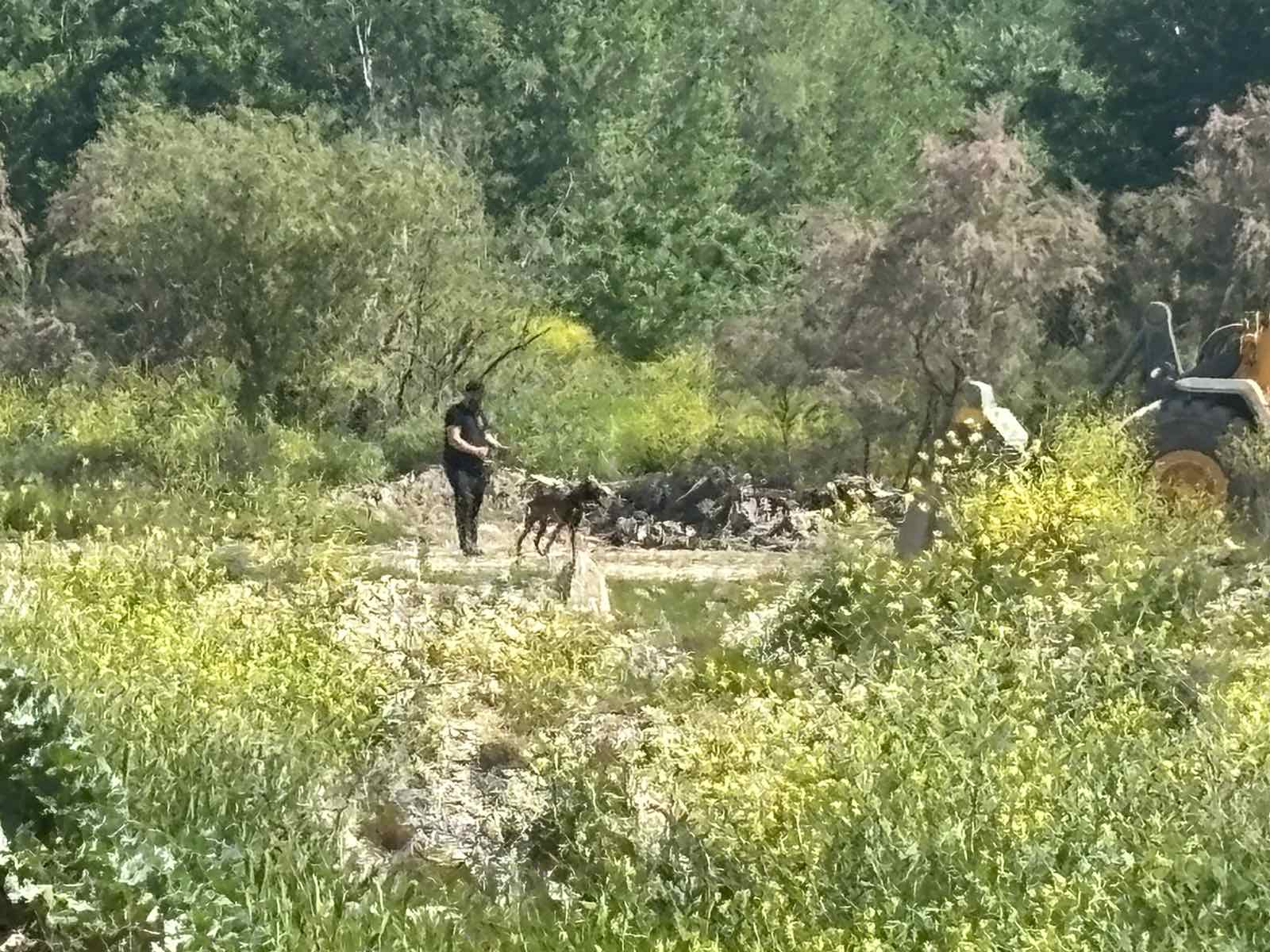 Τραγωδία στα Τέμπη: Ειδικά σκυλιά έφτασαν στο οικόπεδο που μεταφέρθηκαν τα χώματα – ΦΩΤΟ και ΒΙΝΤΕΟ