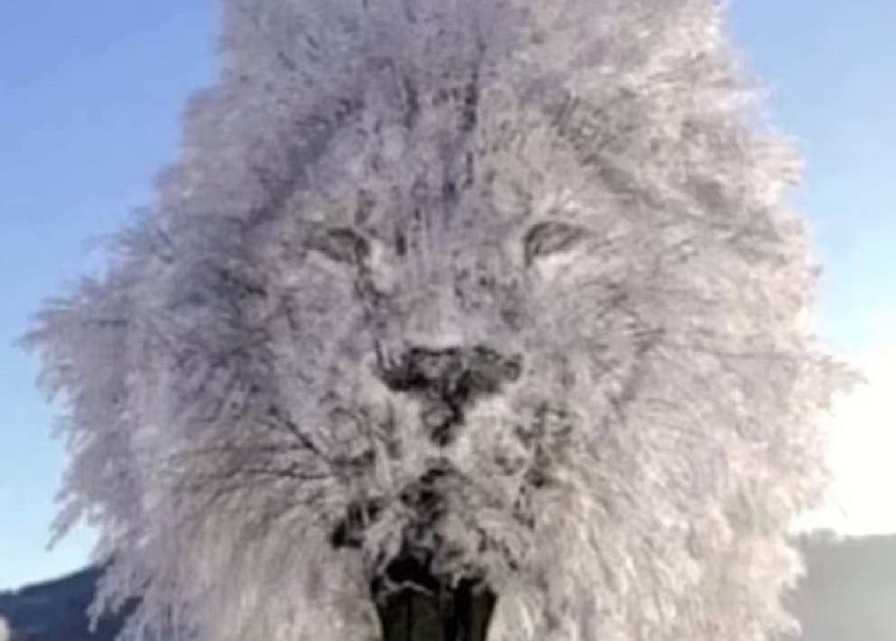 Τεστ προσωπικότητας: Αυτό που βλέπετε πρώτα αποκαλύπτει αν είστε εσωστρεφής ή κοινωνικός