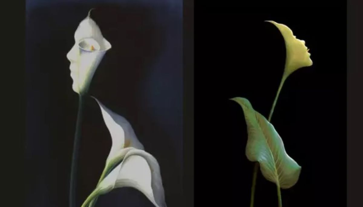 οπτική ψευδαίσθηση τεστ προσωπικότητας