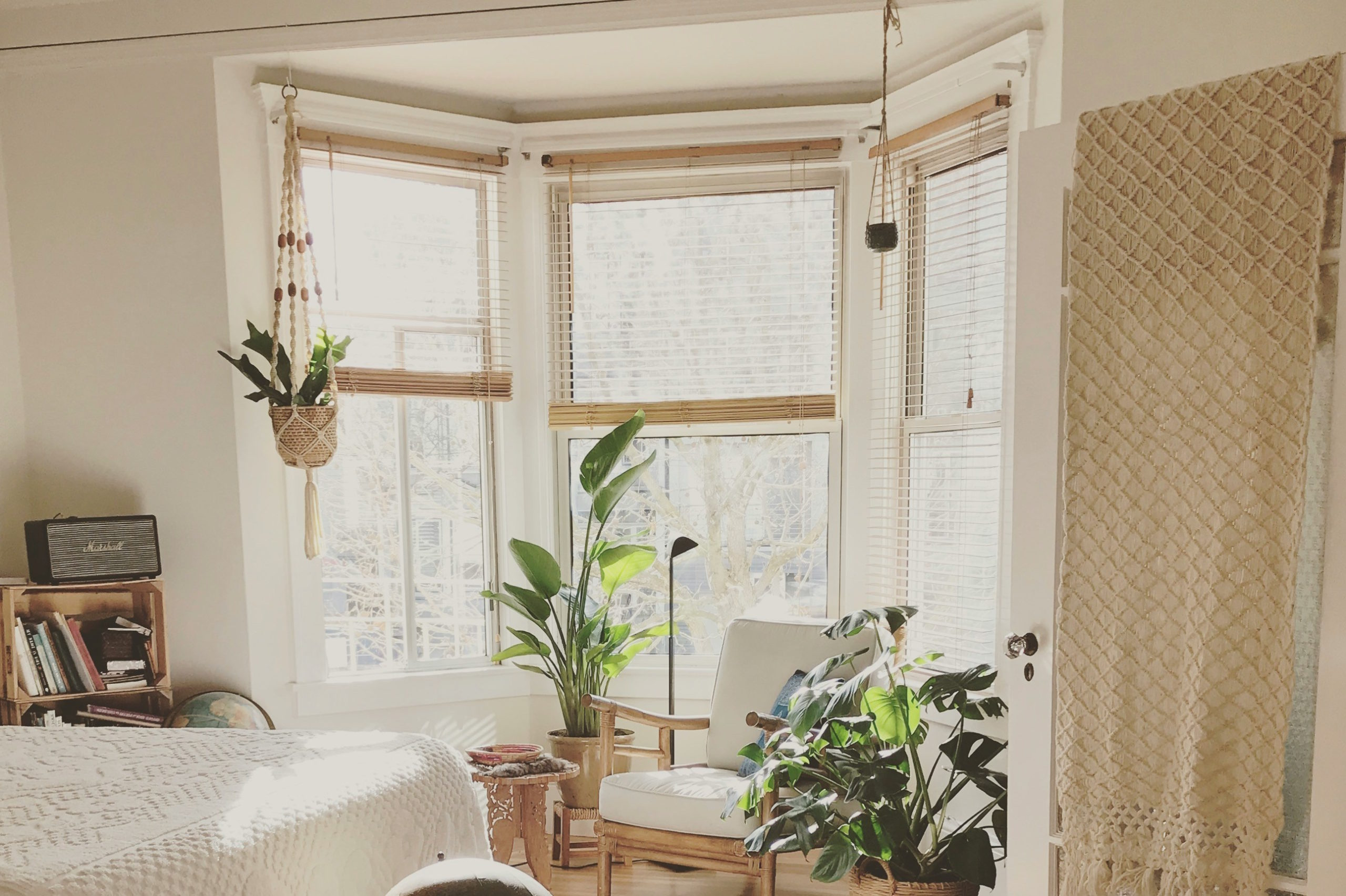 Ο σοβαρός λόγος που δεν πρέπει ποτέ να βάψετε πάνω από τη μούχλα στο σπίτι