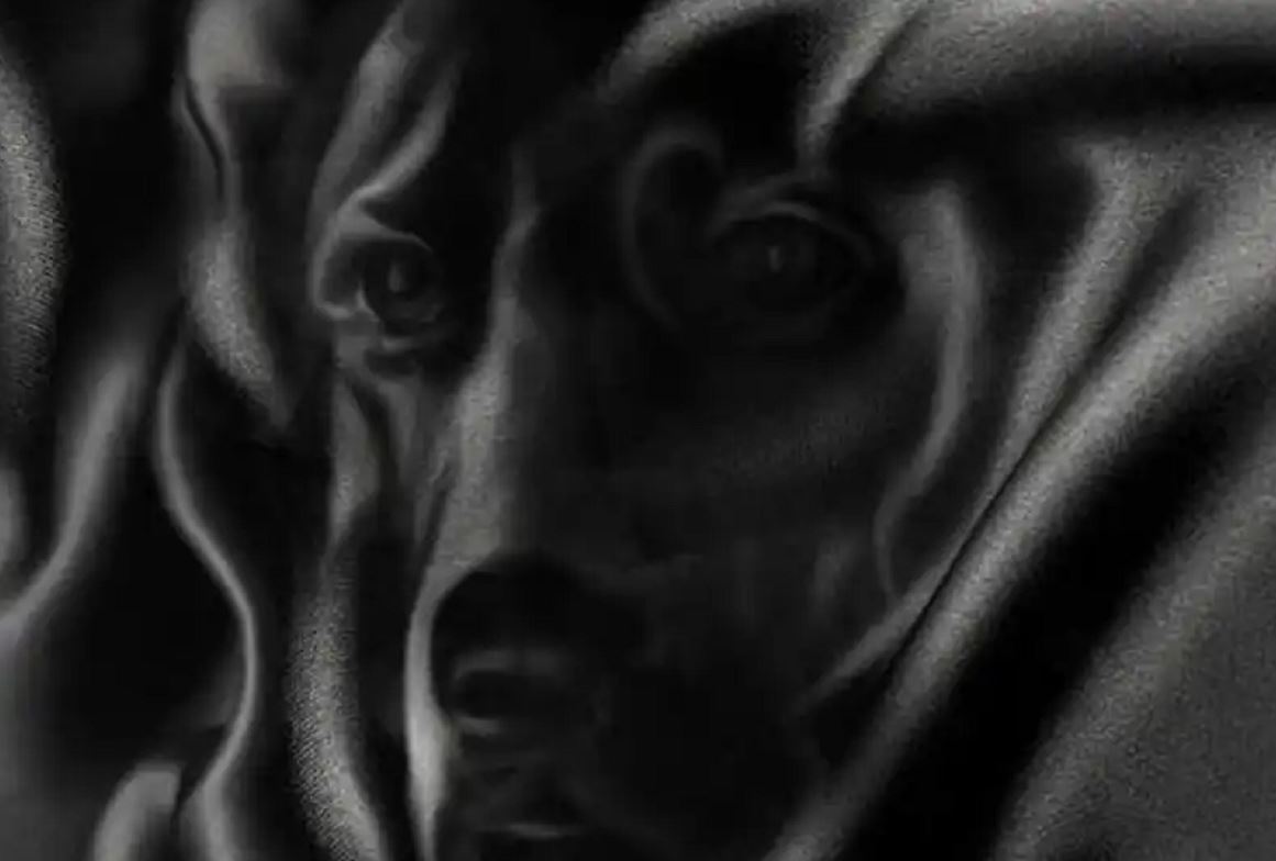 Τεστ προσωπικότητας: Αυτό που βλέπετε πρώτα αποκαλύπτει εάν είστε φυσικός ηγέτης ή βασίζεστε στο ένστικτό σας για την επίλυση προβλημάτων