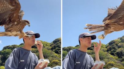 ΒΙΝΤΕΟ: Η στιγμή που… πεινασμένο γεράκι κλέβει το σάντουιτς που έτρωγε άνδρας