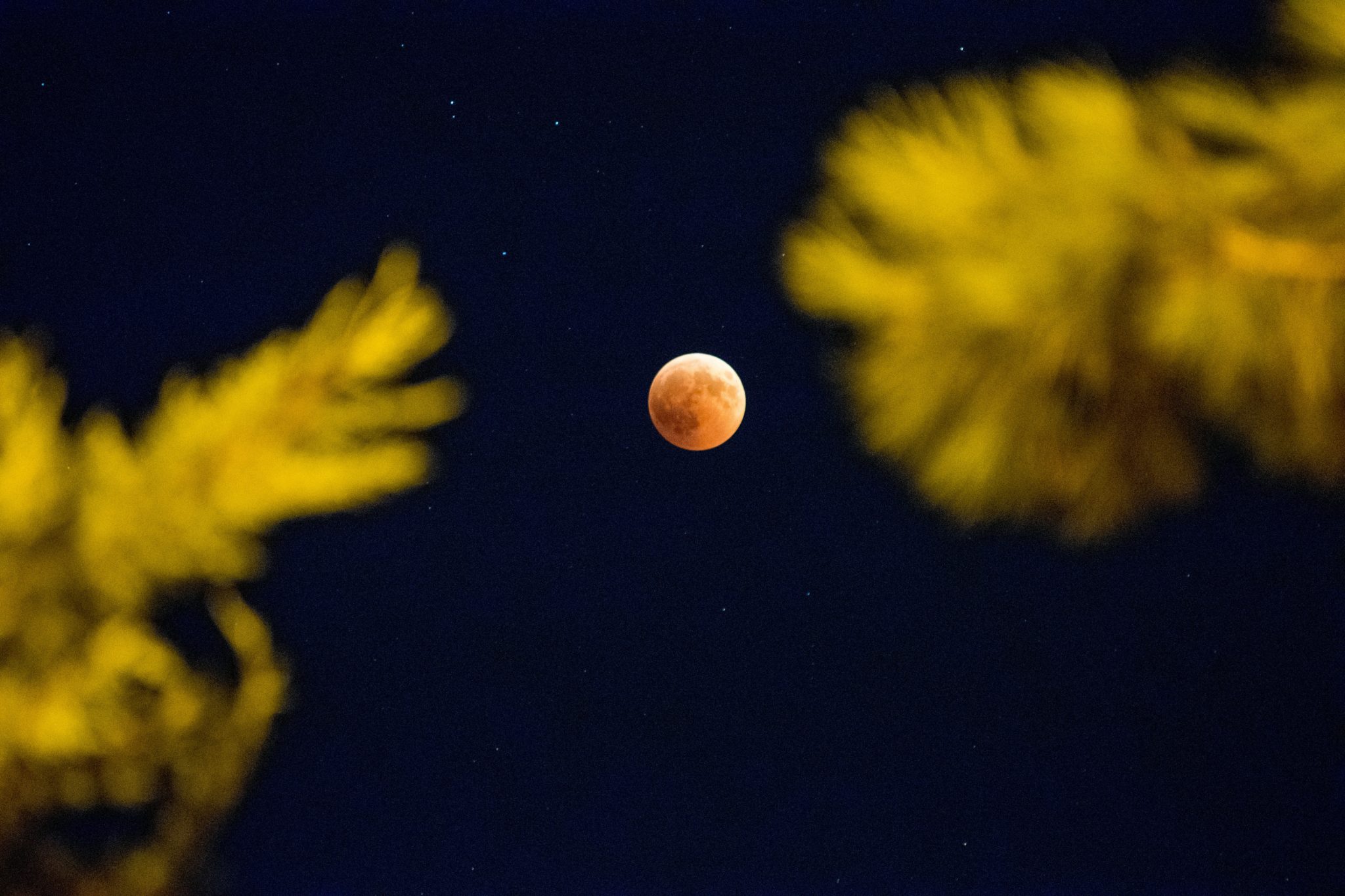 πανσέληνος