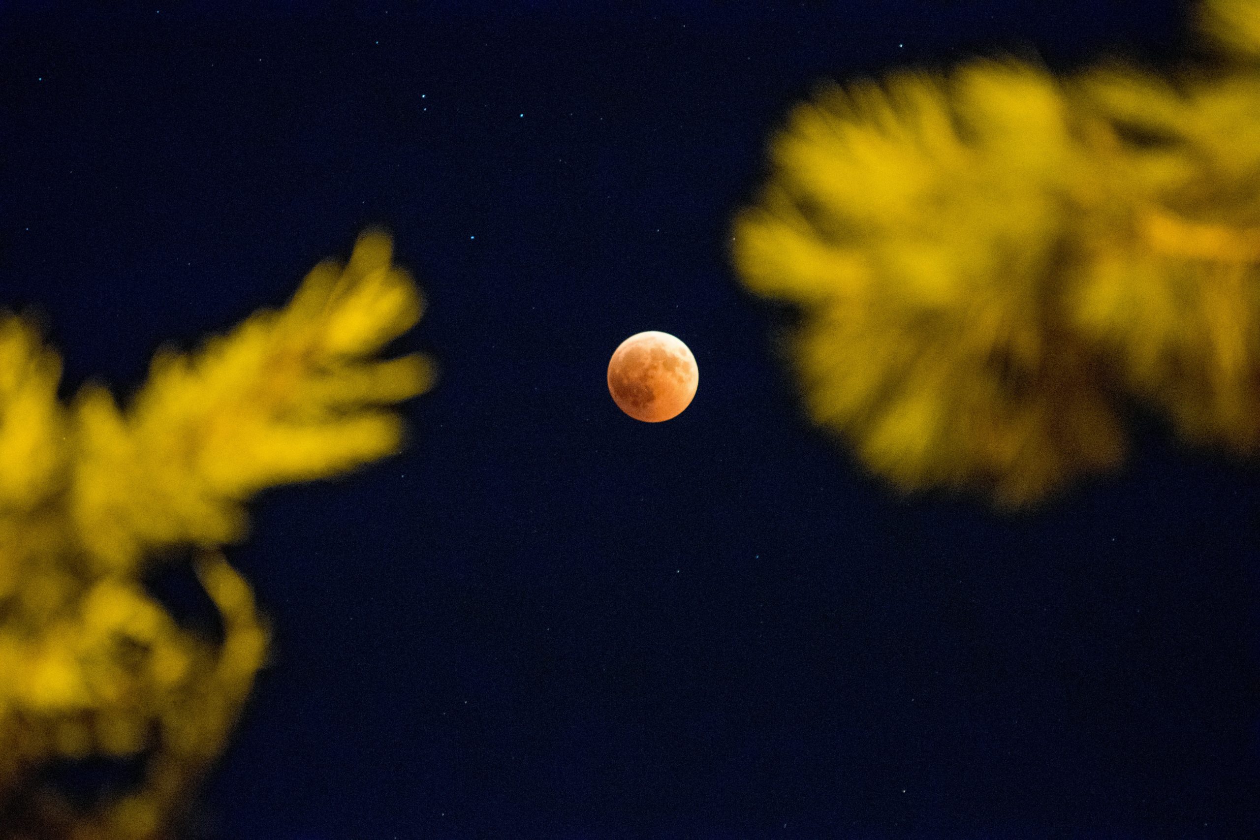 πανσέληνος