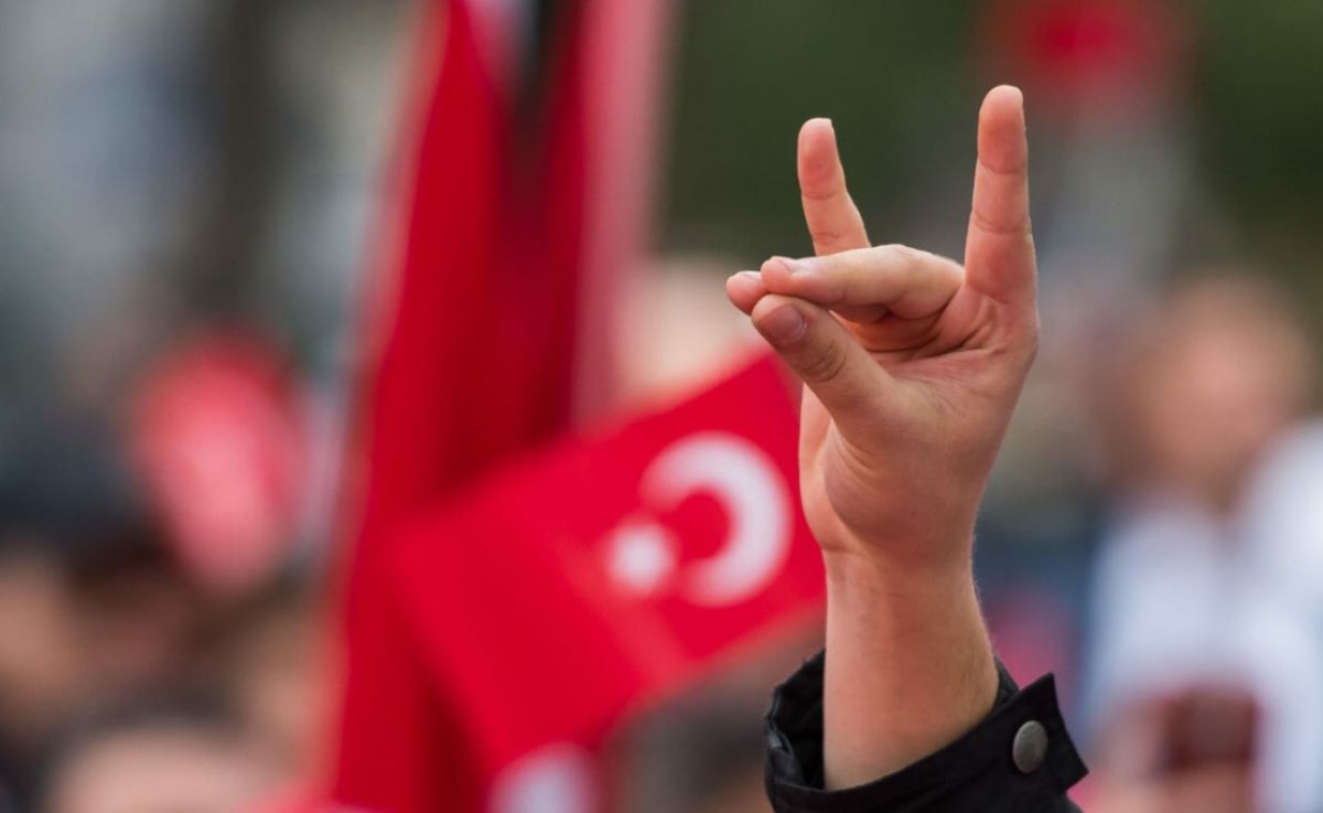 Γκρίζοι Λύκοι Τουρκία