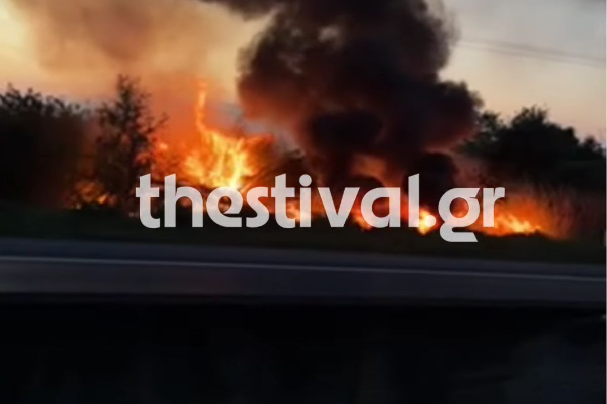 Αυτοκίνητο - Καμμένο - Θεσσαλονίκη - Δολοφονία