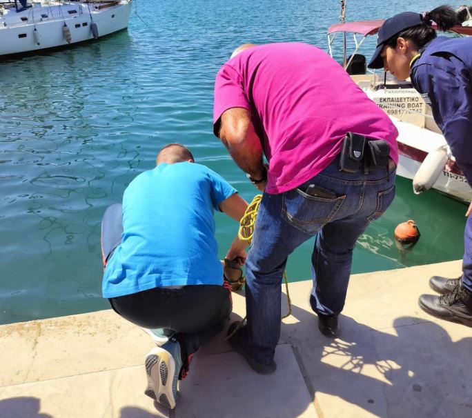 Βόλος: Καρχαριοειδές μήκους 3,5 μέτρων εντοπίστηκε στο λιμάνι