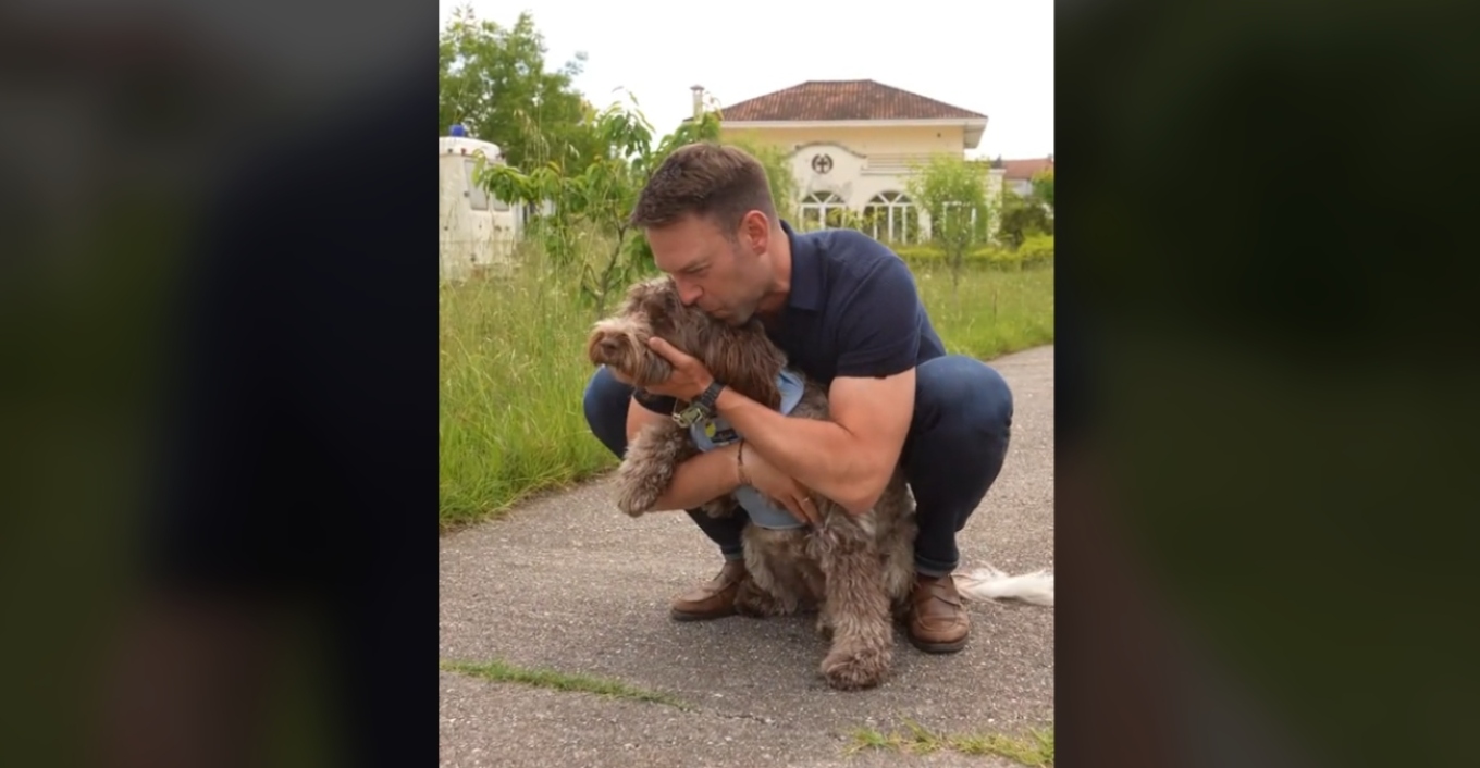 Κασσελάκης στο TikTok: Απαντά στον Μητσοτάκη με τη Φάρλι – «Έλα να σε πω κομματόσκυλο, να πάρω ψήφους»