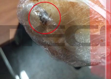 Κατσαρίδα - γεύμα