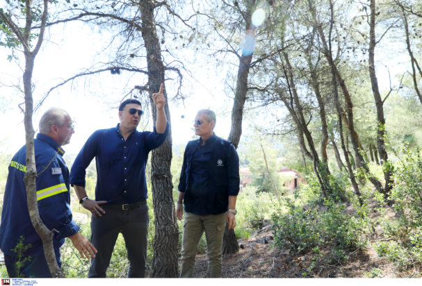 Βασίλης Κικίλιας