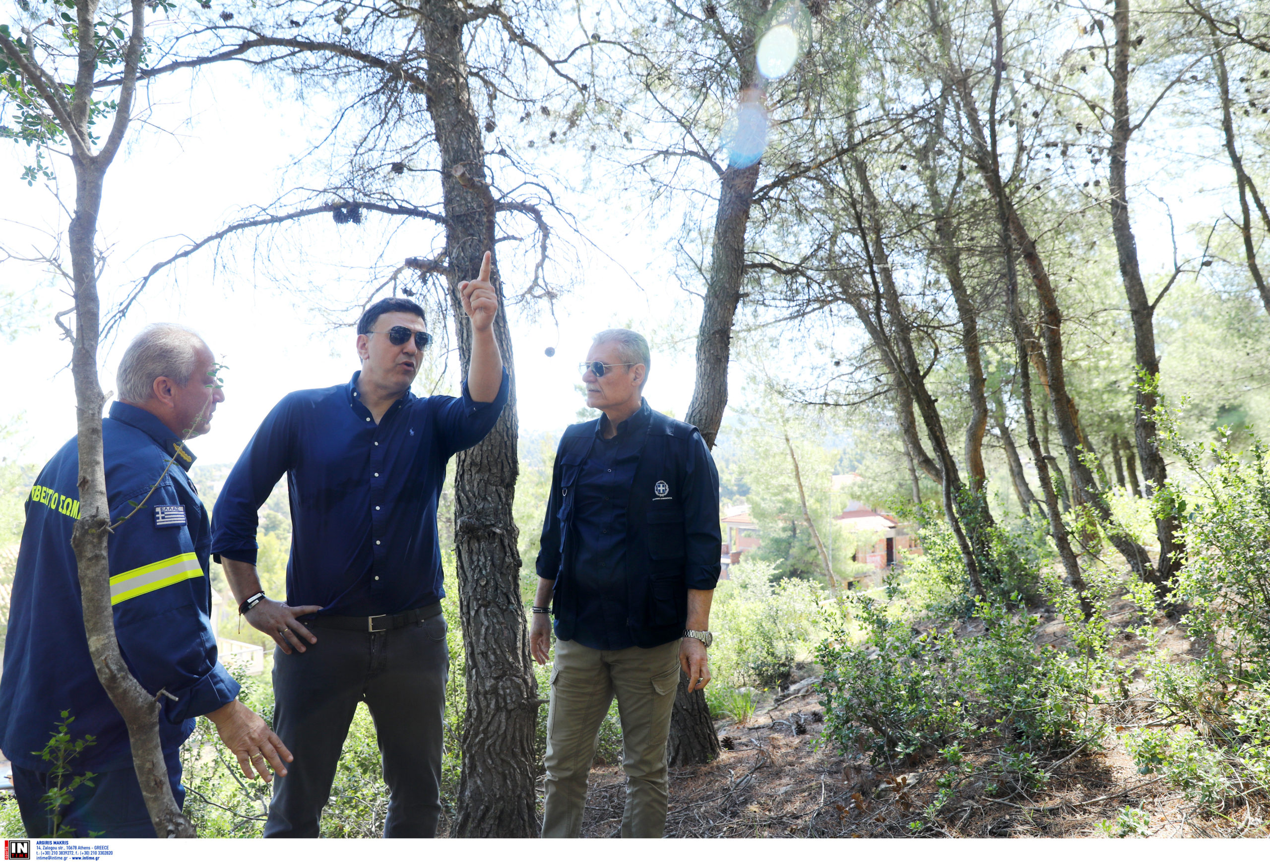 Βασίλης Κικίλιας