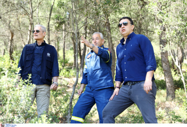 Βασίλης Κικίλιας