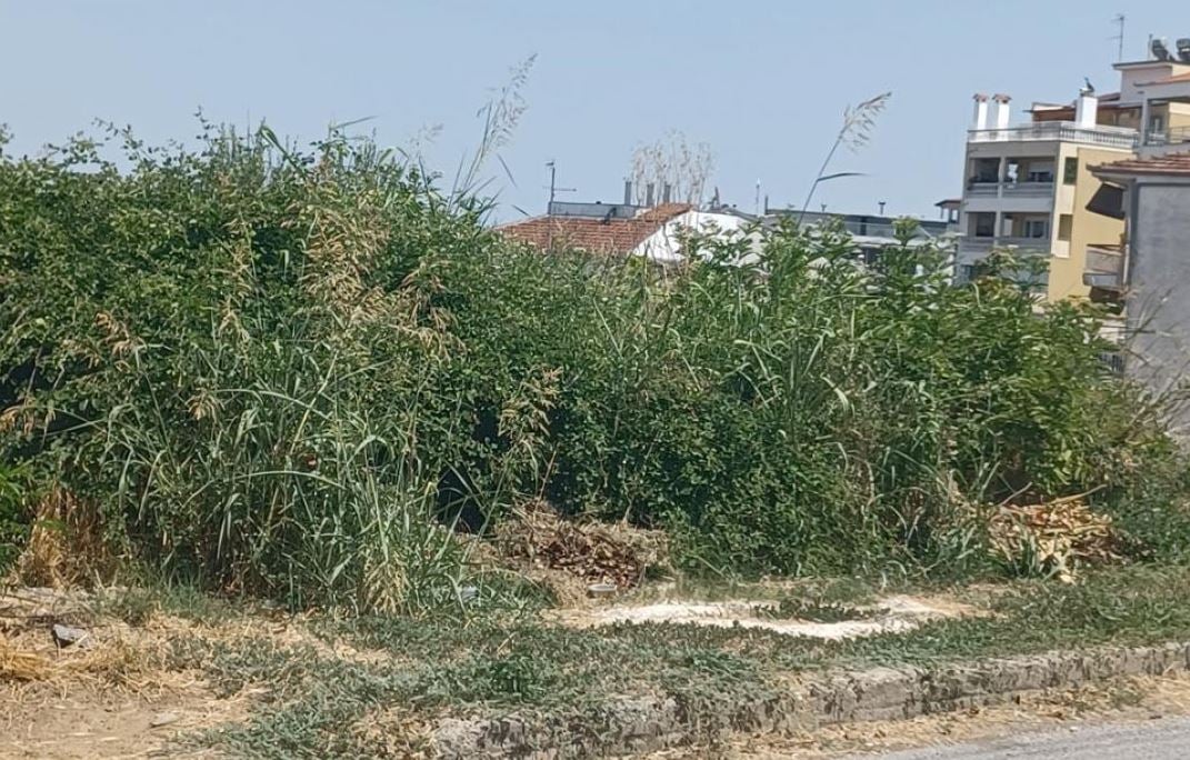 οικόπεδα