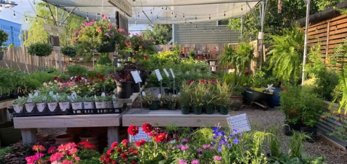 Οπτική ψευδαίσθηση