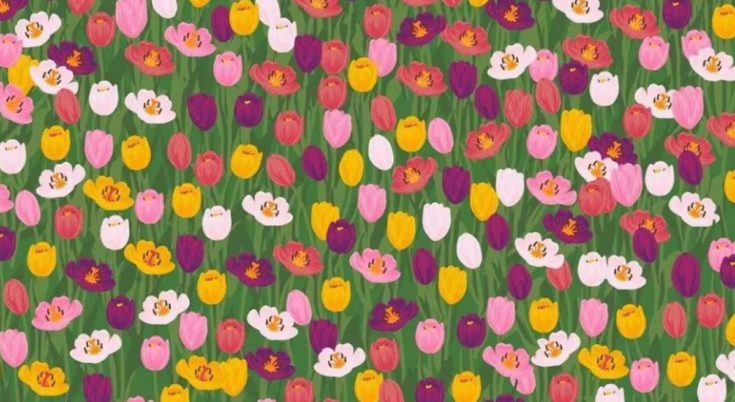 Οπτική ψευδαίσθηση