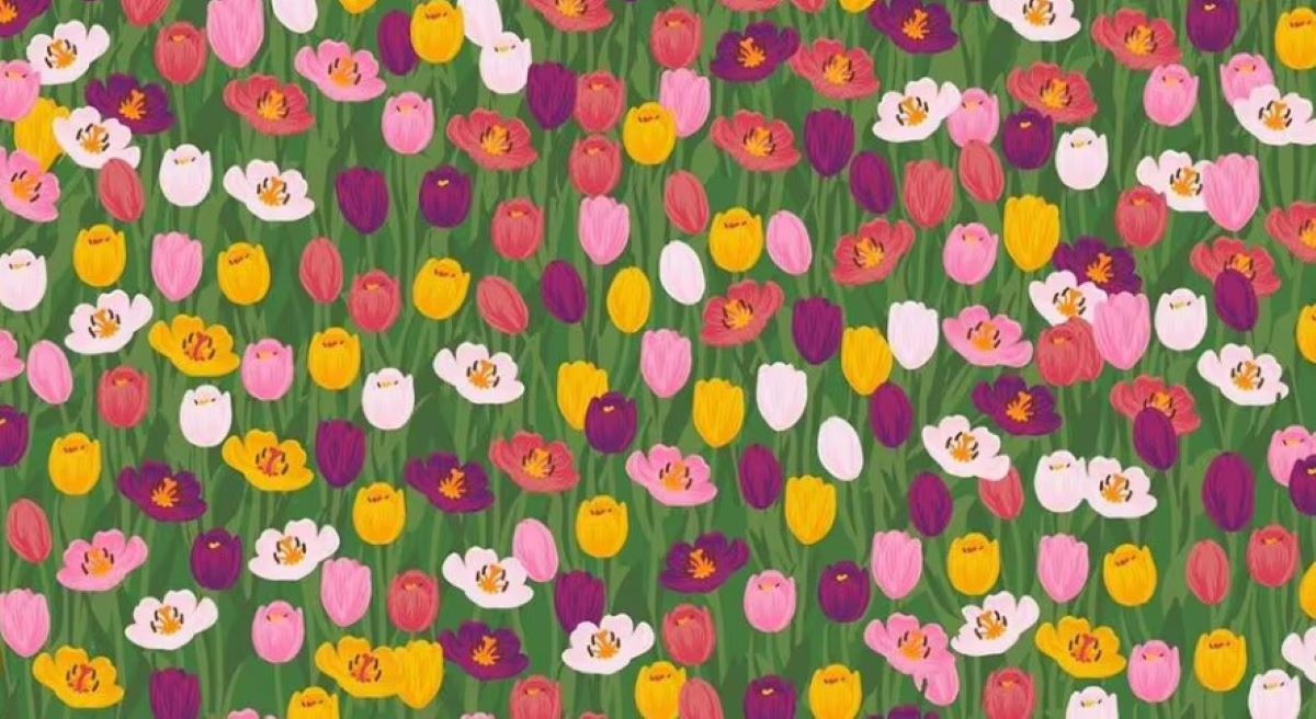 Οπτική ψευδαίσθηση