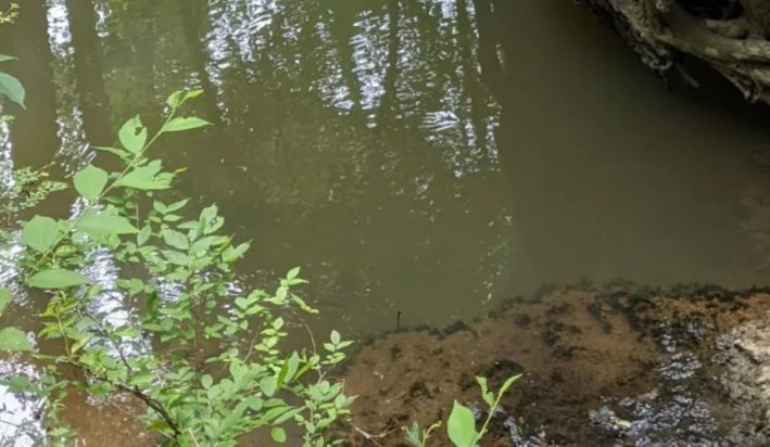 Οπτική ψευδαίσθηση