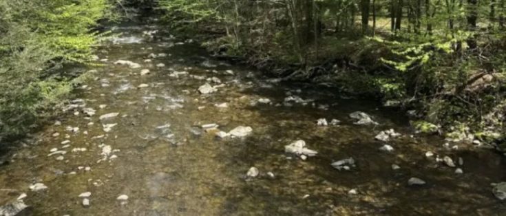 Οπτική ψευδαίσθηση