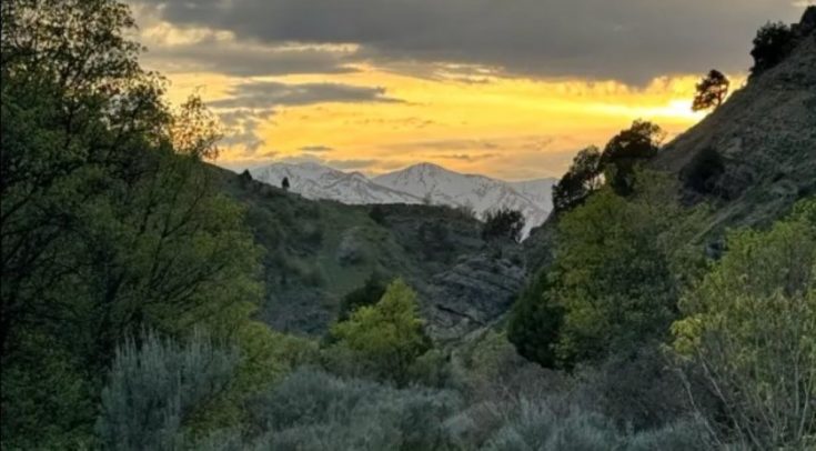 Οπτική ψευδαίσθηση