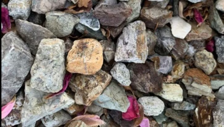 Οπτική ψευδαίσθηση