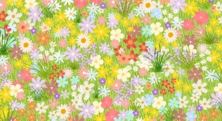 Οπτική ψευδαίσθηση