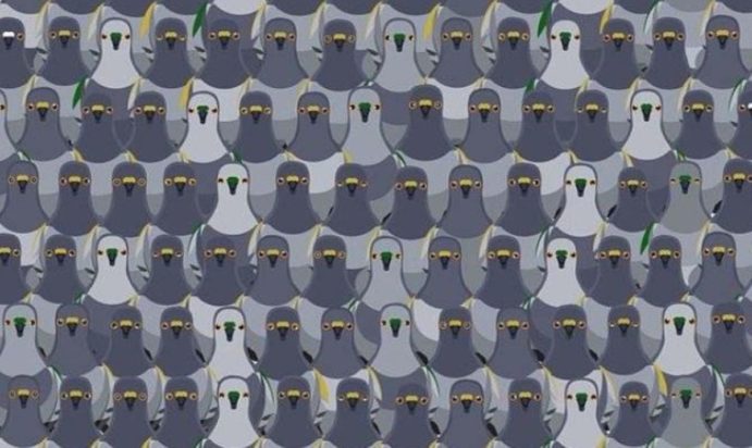 Οπτική ψευδαίσθηση