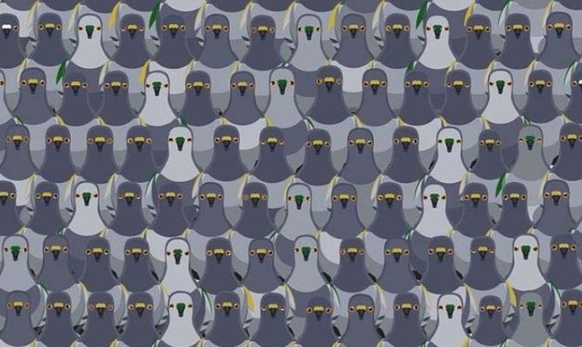 Οπτική ψευδαίσθηση