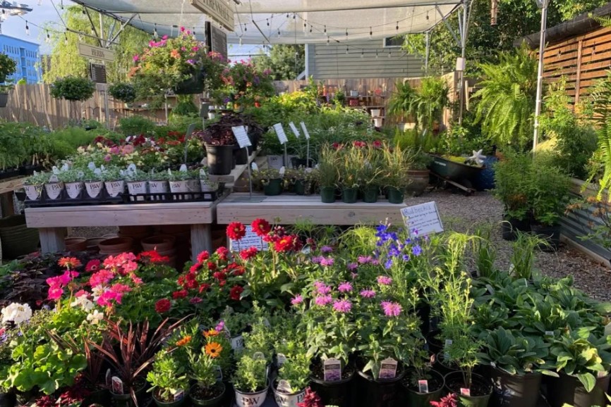 Οπτική ψευδαίσθηση