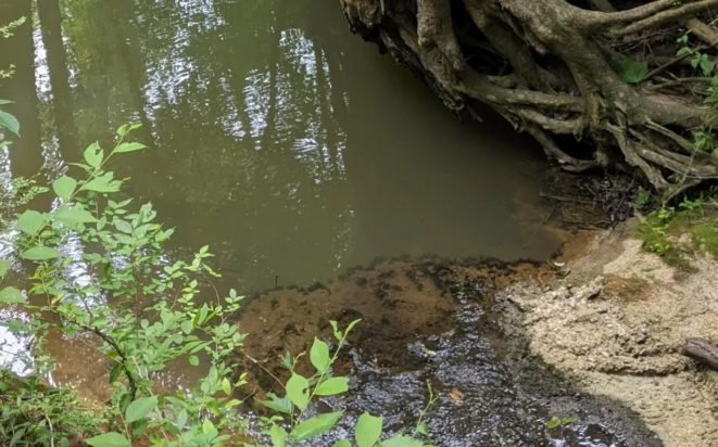 Οπτική ψευδαίσθηση