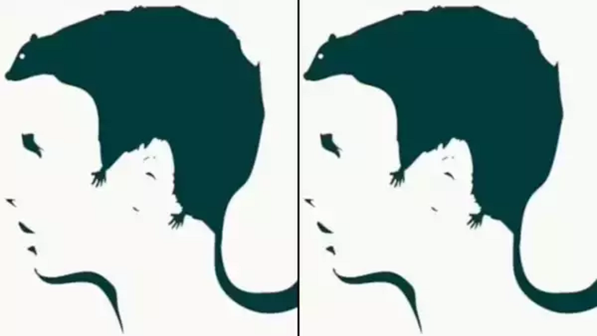 Τεστ προσωπικότητας: Αυτό που βλέπετε πρώτα αποκαλύπτει τους πραγματικούς φόβους σας