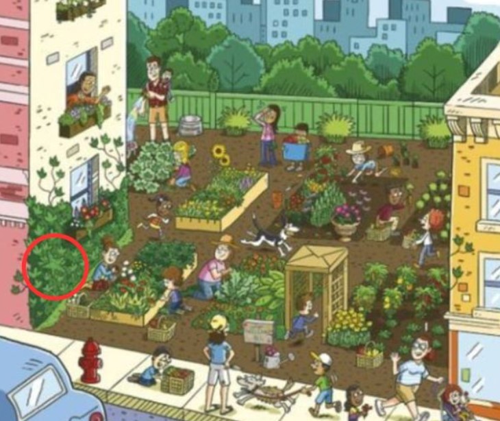 Οπτική ψευδαίσθηση