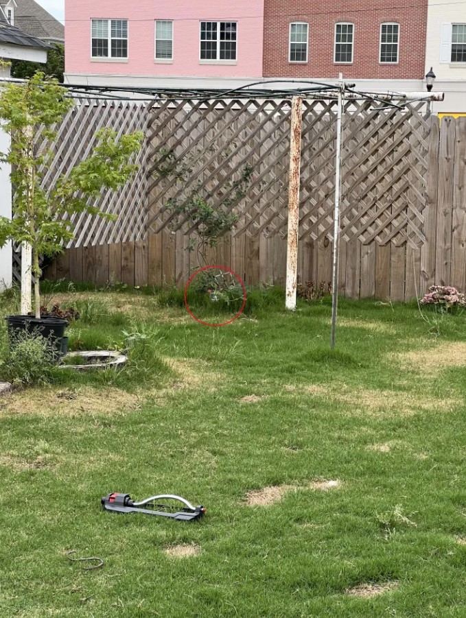 Οπτική ψευδαίσθηση