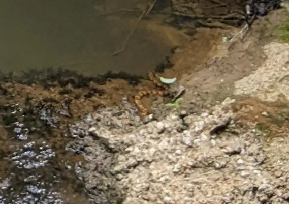 Οπτική ψευδαίσθηση