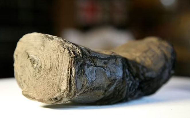 Εκατοντάδες από τους παπύρους -που κάηκαν από την έκρηξη του Βεζούβιου- καταστράφηκαν κατά τις πρώτες προσπάθειες να ξετυλιχτούν