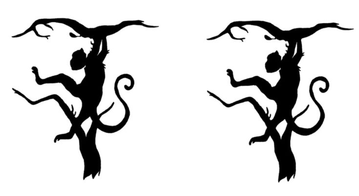 Τεστ προσωπικότητας οπτική ψευδαίσθησης