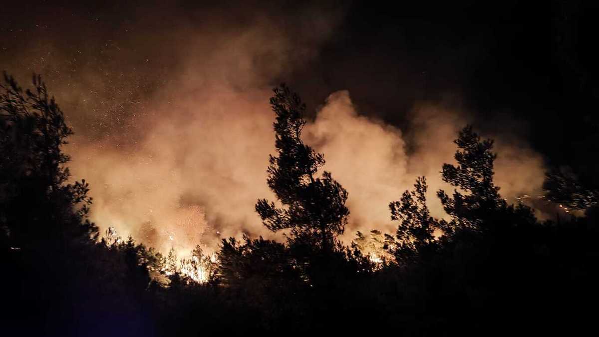Φωτιά σε δασική έκταση στη Ρόδο