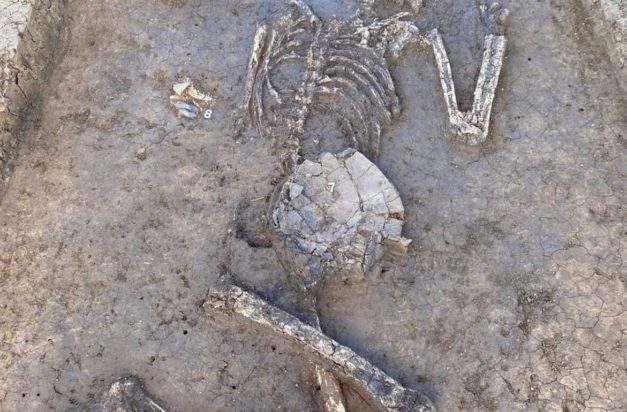 Έκαναν έργα, φώναξαν αρχαιολόγο και ανακάλυψαν τυχαία σκελετό 6.800 ετών κάτω από πολυσύχναστο δρόμο