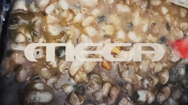 Σχολικό Γεύμα