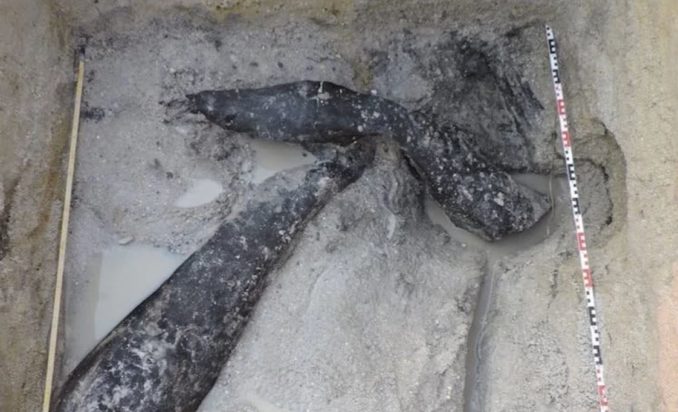 Το ξύλινο εργαλείο από την Λίθινη Εποχή (Φωτό: Βarham/Nature)