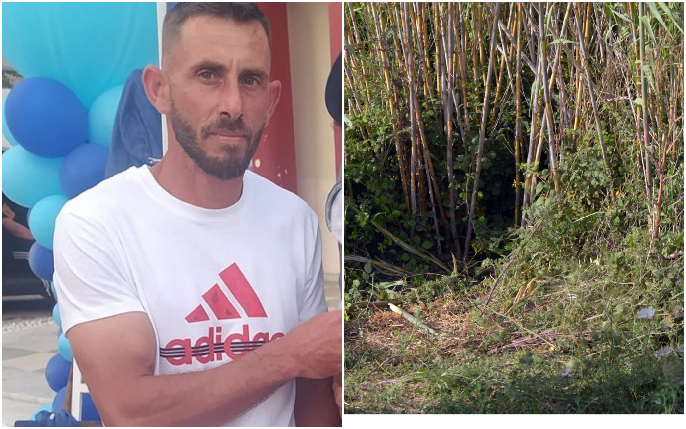 Ηλεία δολοφονία