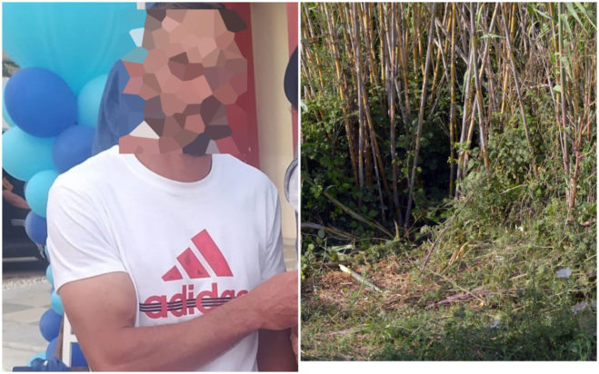 Ηλεία δολοφονία