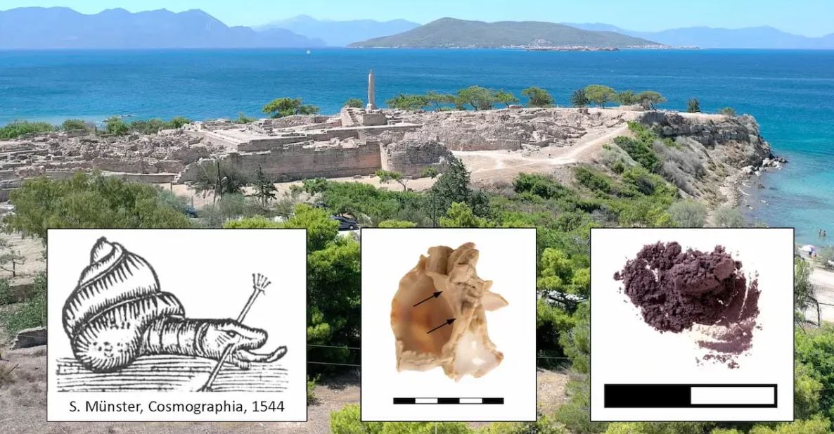 Ανακαλύφθηκε εργαστήριο μυκηναϊκών πορφυρών βαφών στην Αίγινα – Η πολυπόθητη μωβ χρωστική ουσία της αρχαιότητας