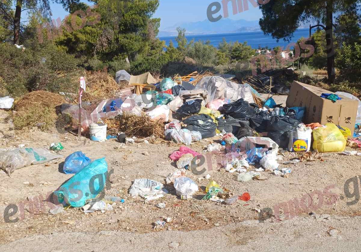 «Βουνά» από ξερά χόρτα, σκουπίδια και έπιπλα σε Πόρτο Ράφτη, Αλεποχώρι και Συγγρού – «Έχουμε τεράστιο πρόβλημα» – ΦΩΤΟ & ΒΙΝΤΕΟ αναγνωστών