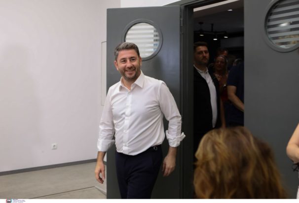 Νίκος Ανδρουλάκης